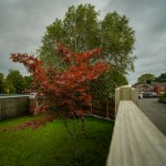 as11758117287sd4.jpg